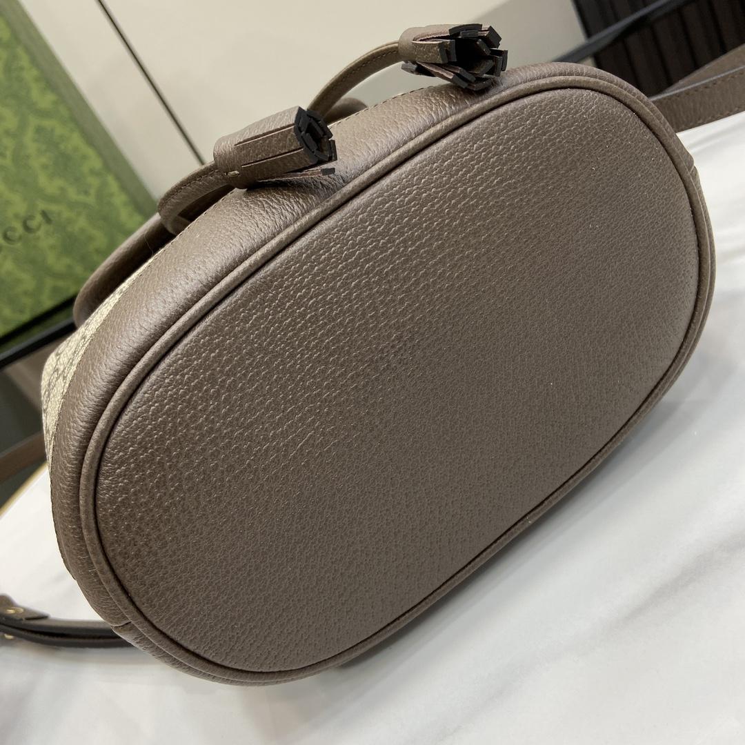 Gucci Ophidia Mini Backpack - FashionPlug