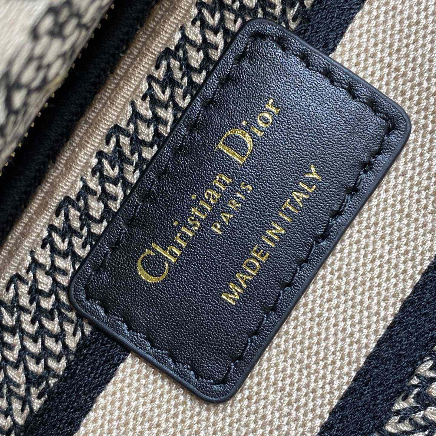 Dior Medium Lady D-Lite Bag - FashionPlug