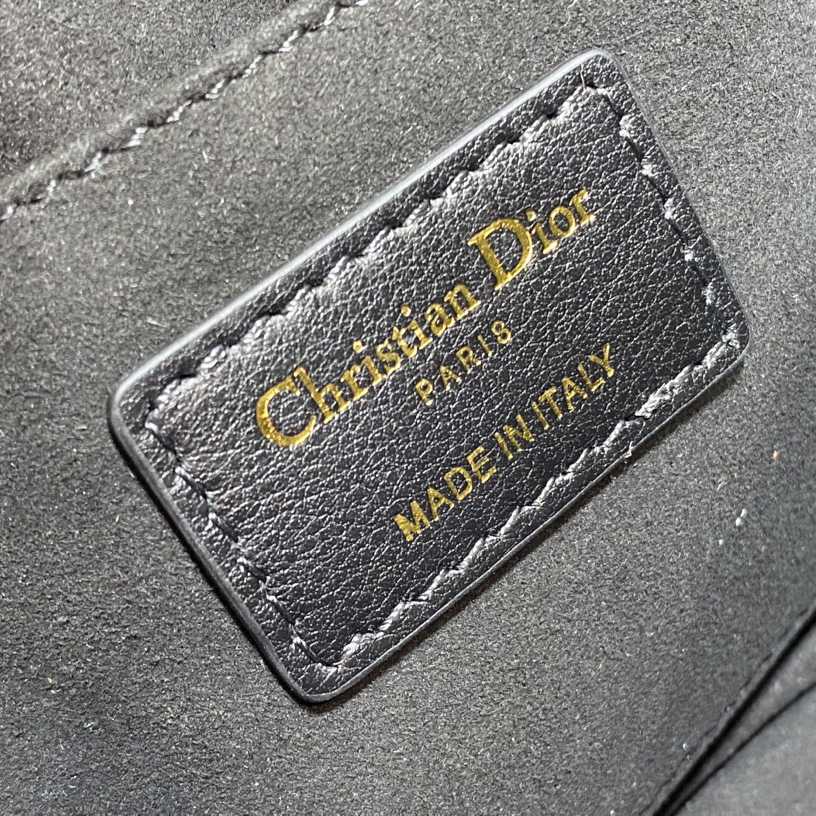 Dior Small Dior Caro Top Handle Camera Bag - FashionPlug