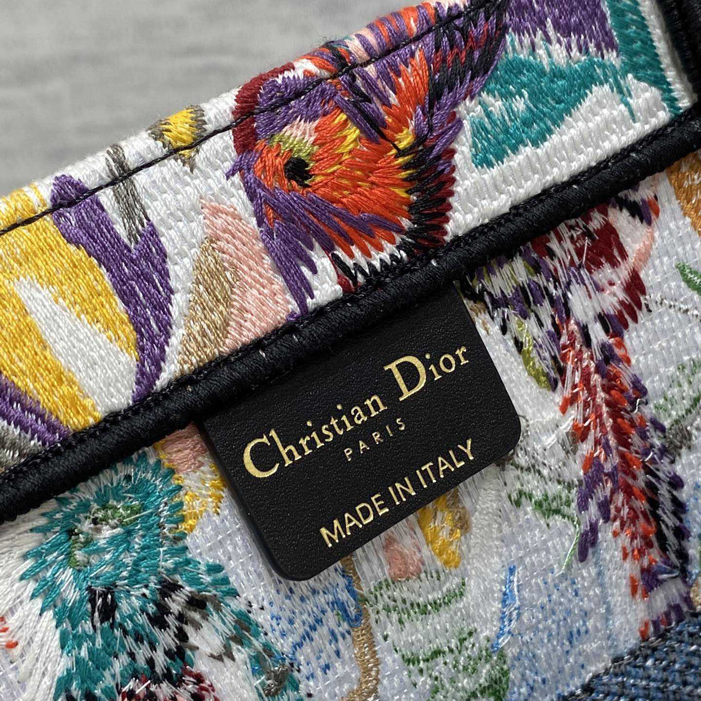 Dior Medium Dior Book Tote - FashionPlug