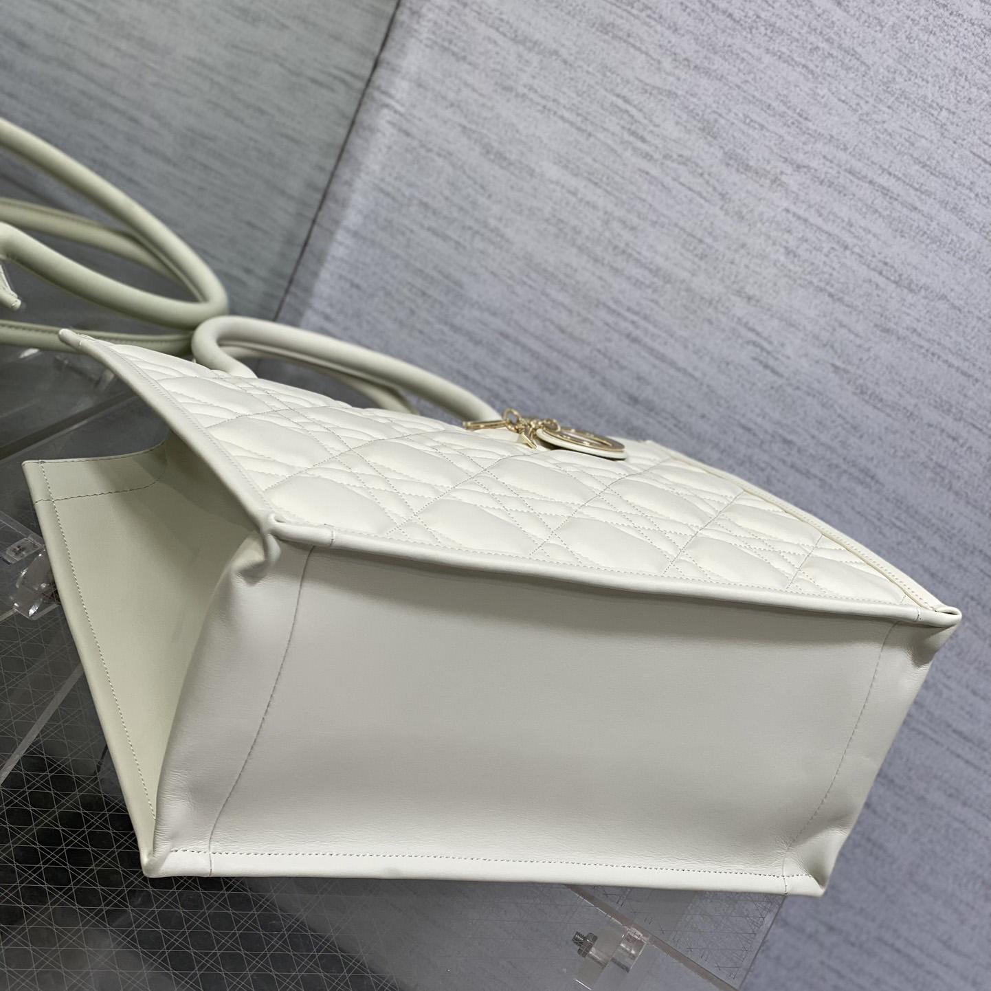Dior Medium Dior Book Tote - FashionPlug