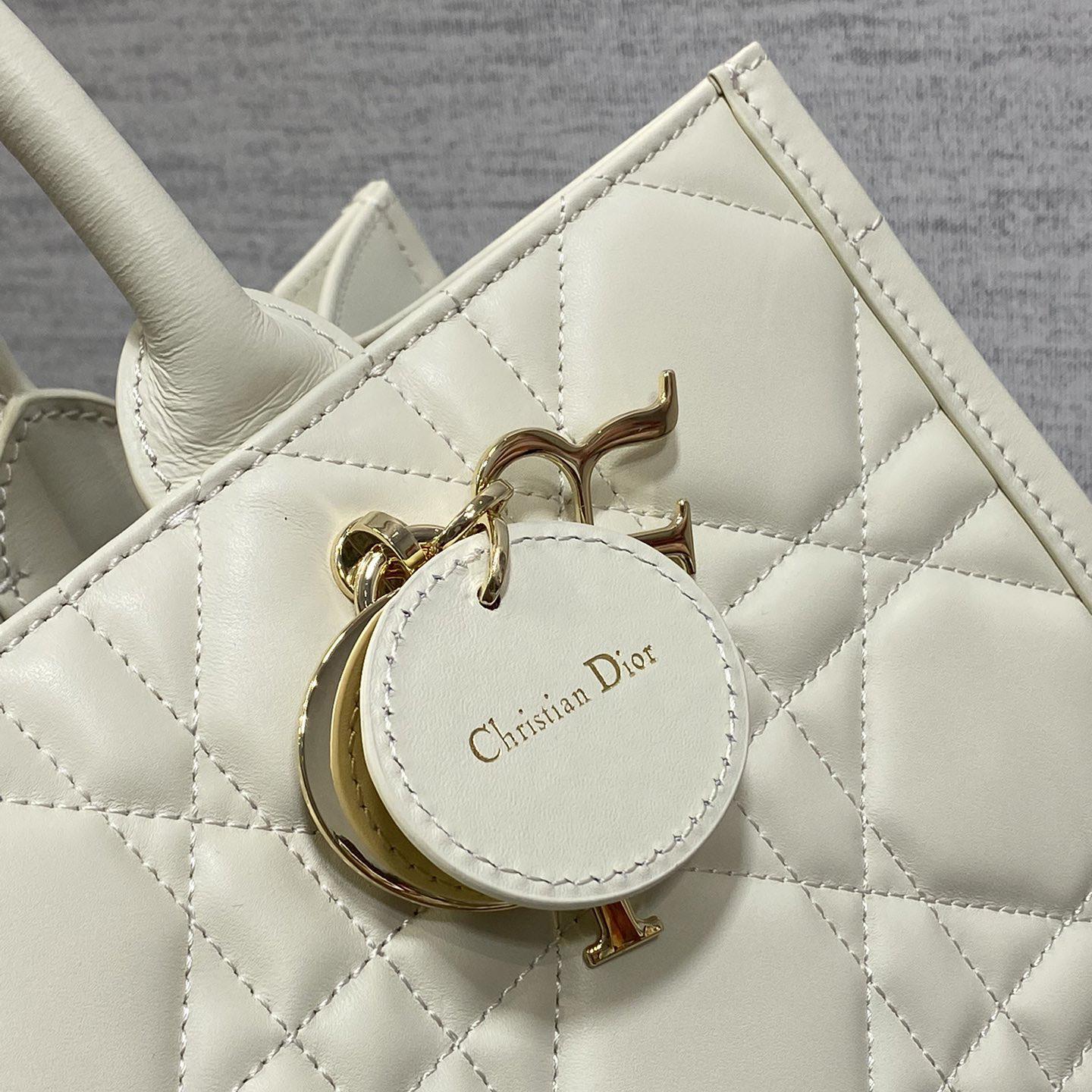 Dior Medium Dior Book Tote - FashionPlug