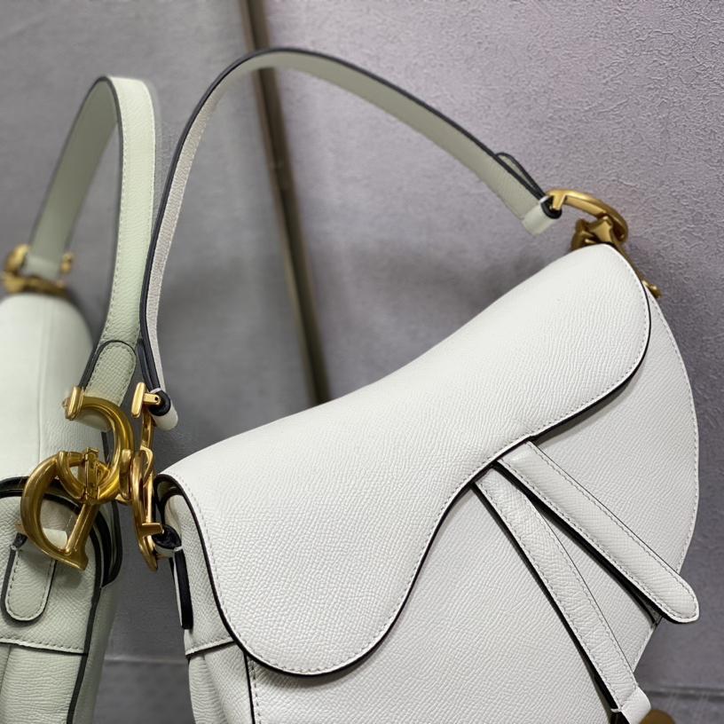 Dior Saddle Bag    25.5cm - FashionPlug