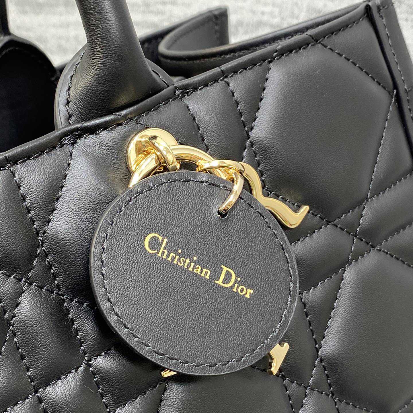 Dior Medium Dior Book Tote - FashionPlug