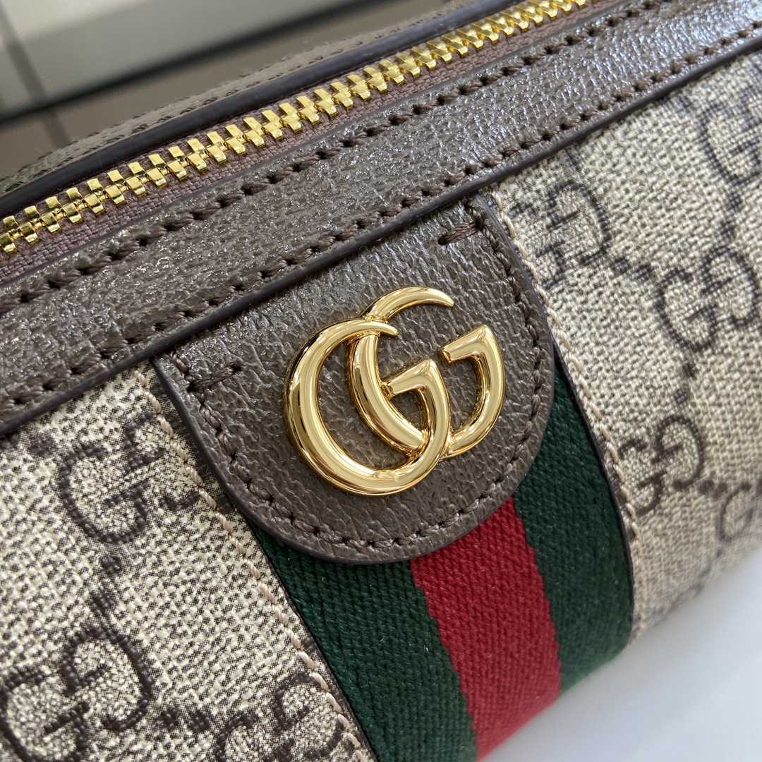 Gucci Ophidia Mini Shoulder Bag - FashionPlug