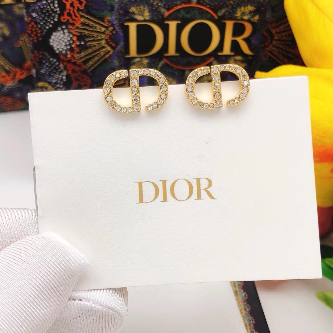 Dior Earrings - FashionPlug