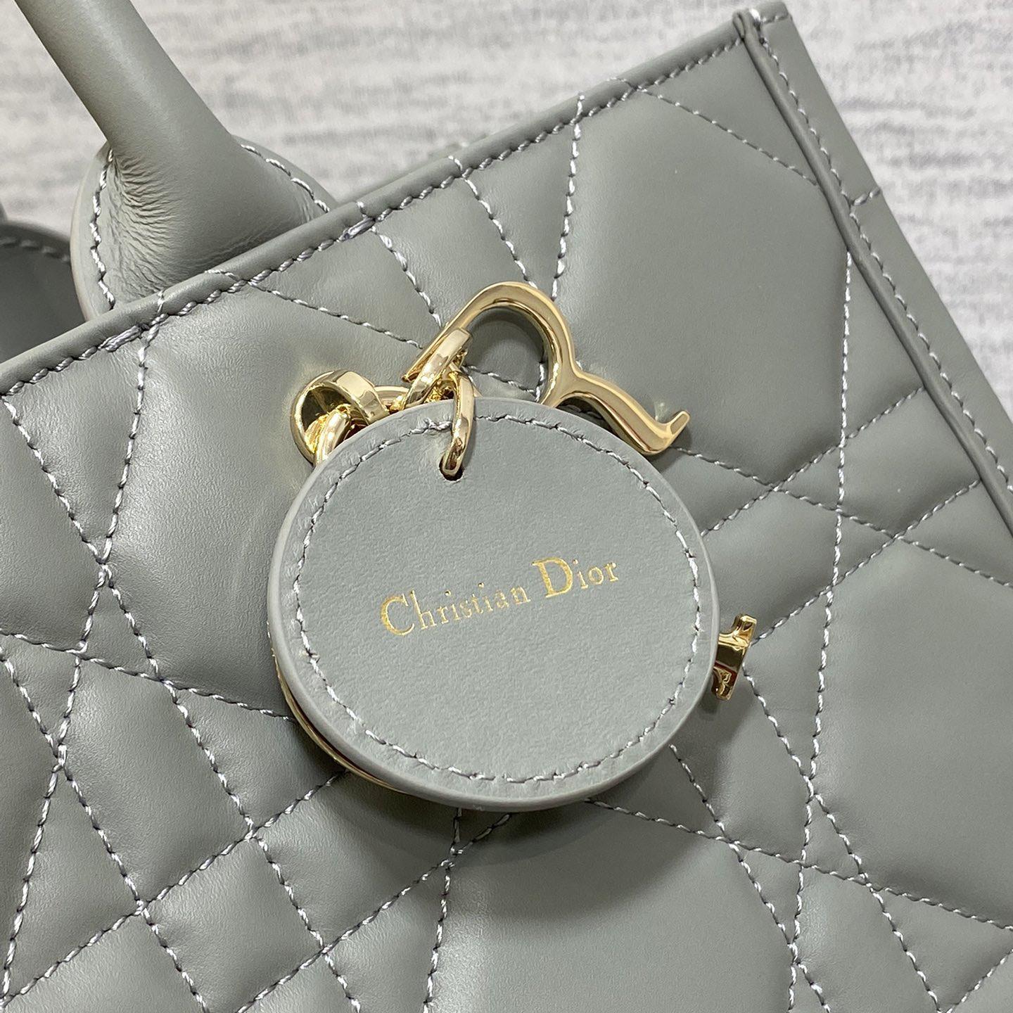Dior Medium Dior Book Tote - FashionPlug
