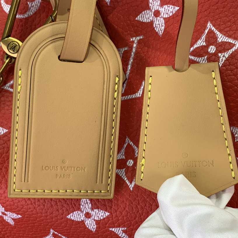 Louis Vuitton LV Speedy P9 Bandouliere 40 - FashionPlug
