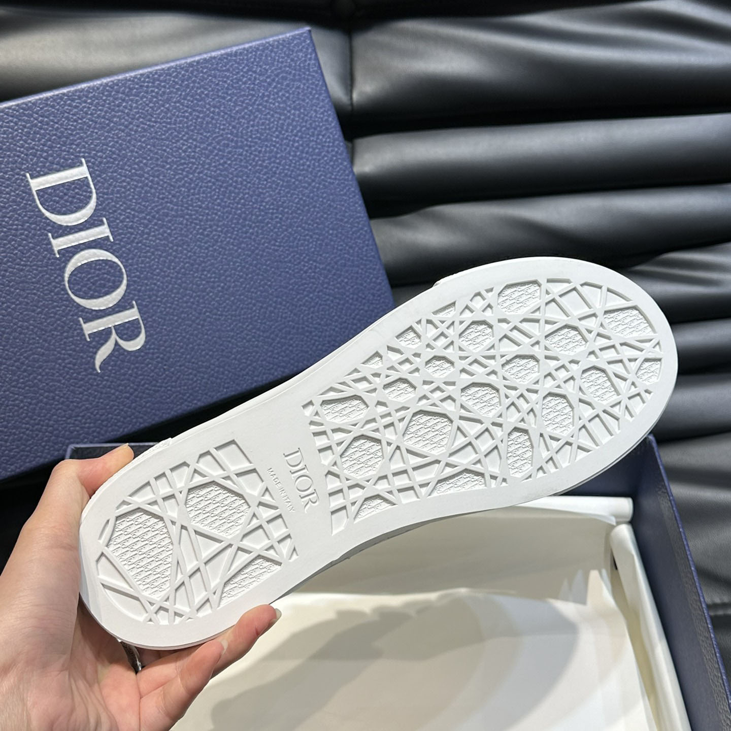 Dior B33 Sneaker  - FashionPlug