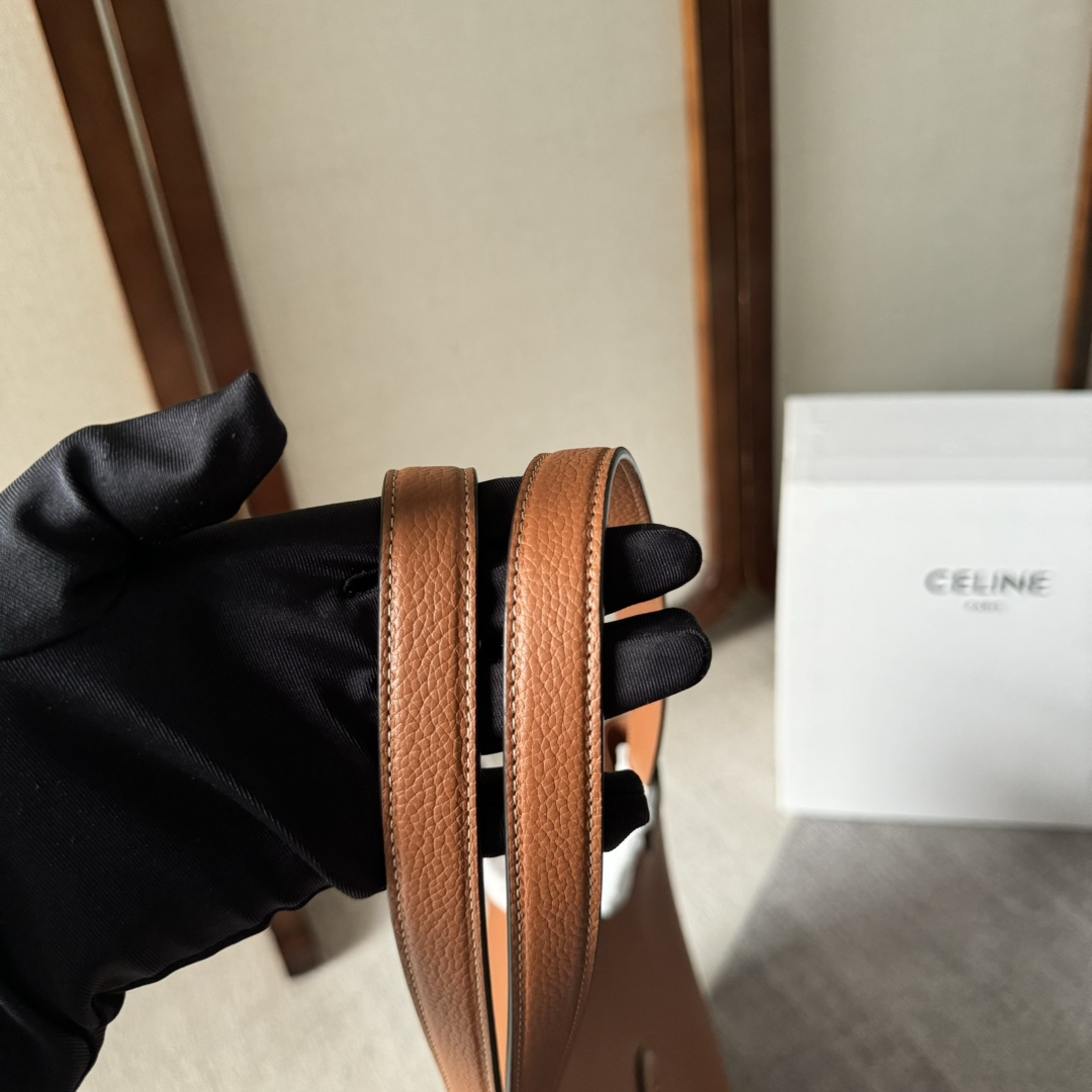 Celine Medium Cabas Anais Cuir Triomphe In Grained Calfskin - FashionPlug