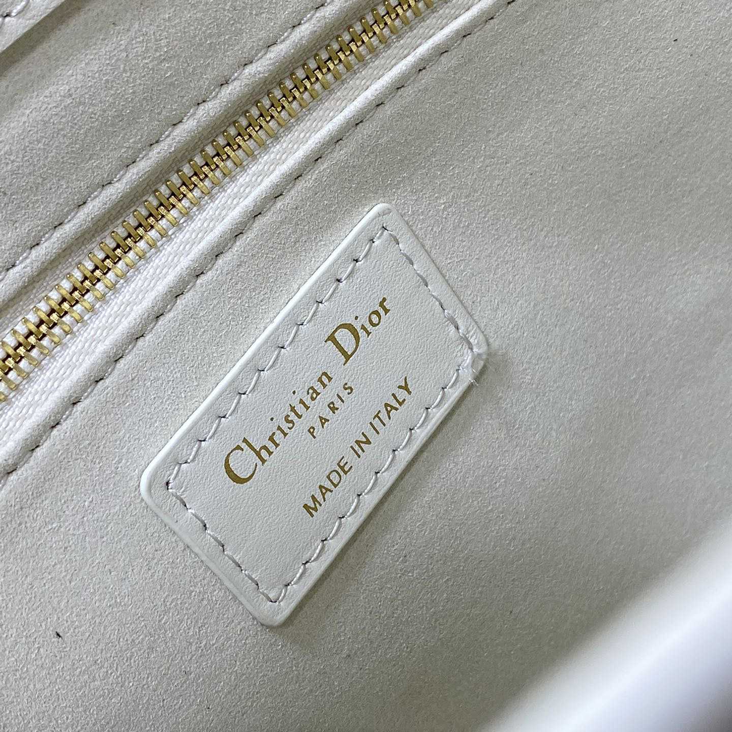 Dior Small Dior Book Tote - FashionPlug
