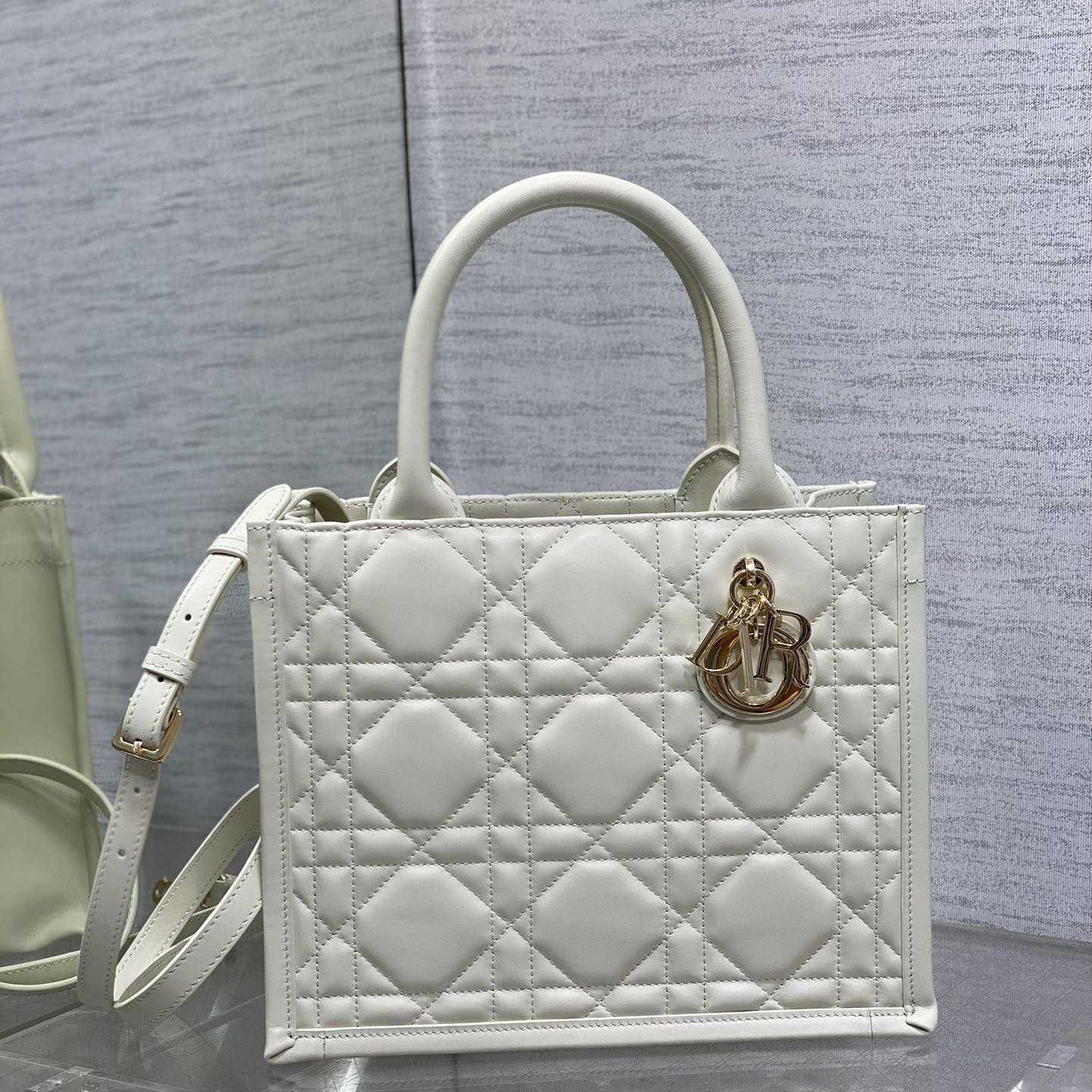 Dior Small Dior Book Tote - FashionPlug