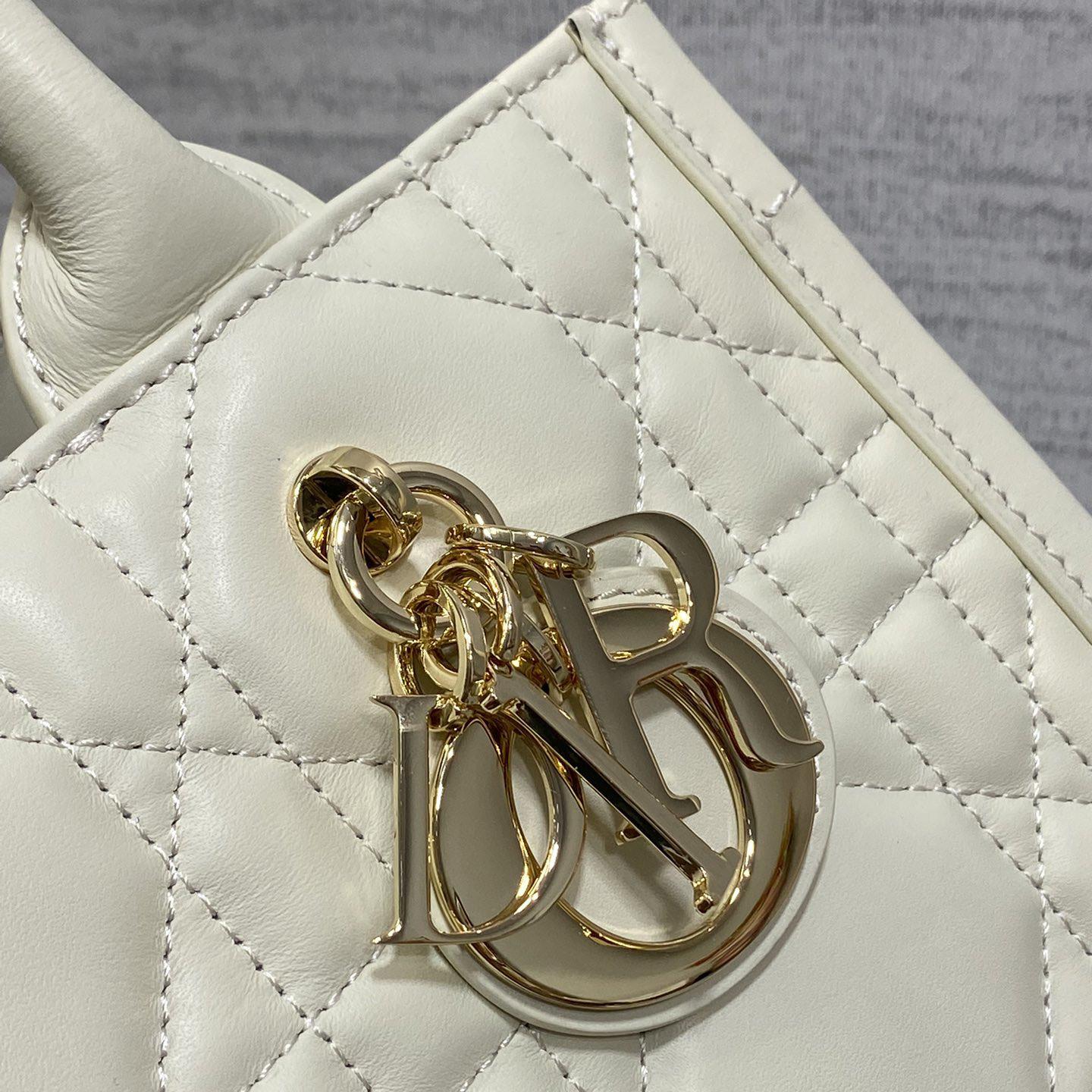 Dior Small Dior Book Tote - FashionPlug