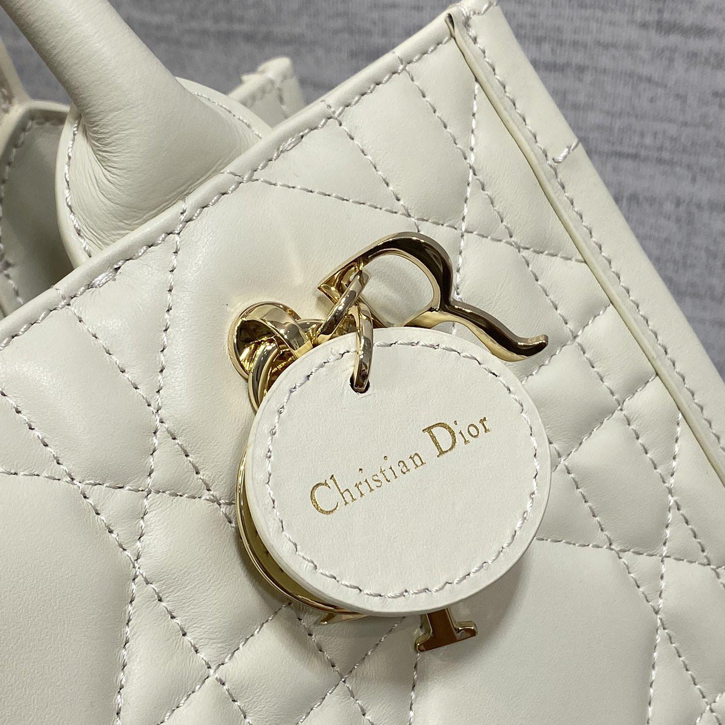 Dior Small Dior Book Tote - FashionPlug