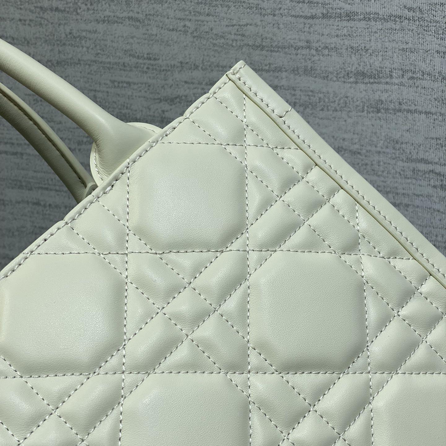 Dior Small Dior Book Tote - FashionPlug