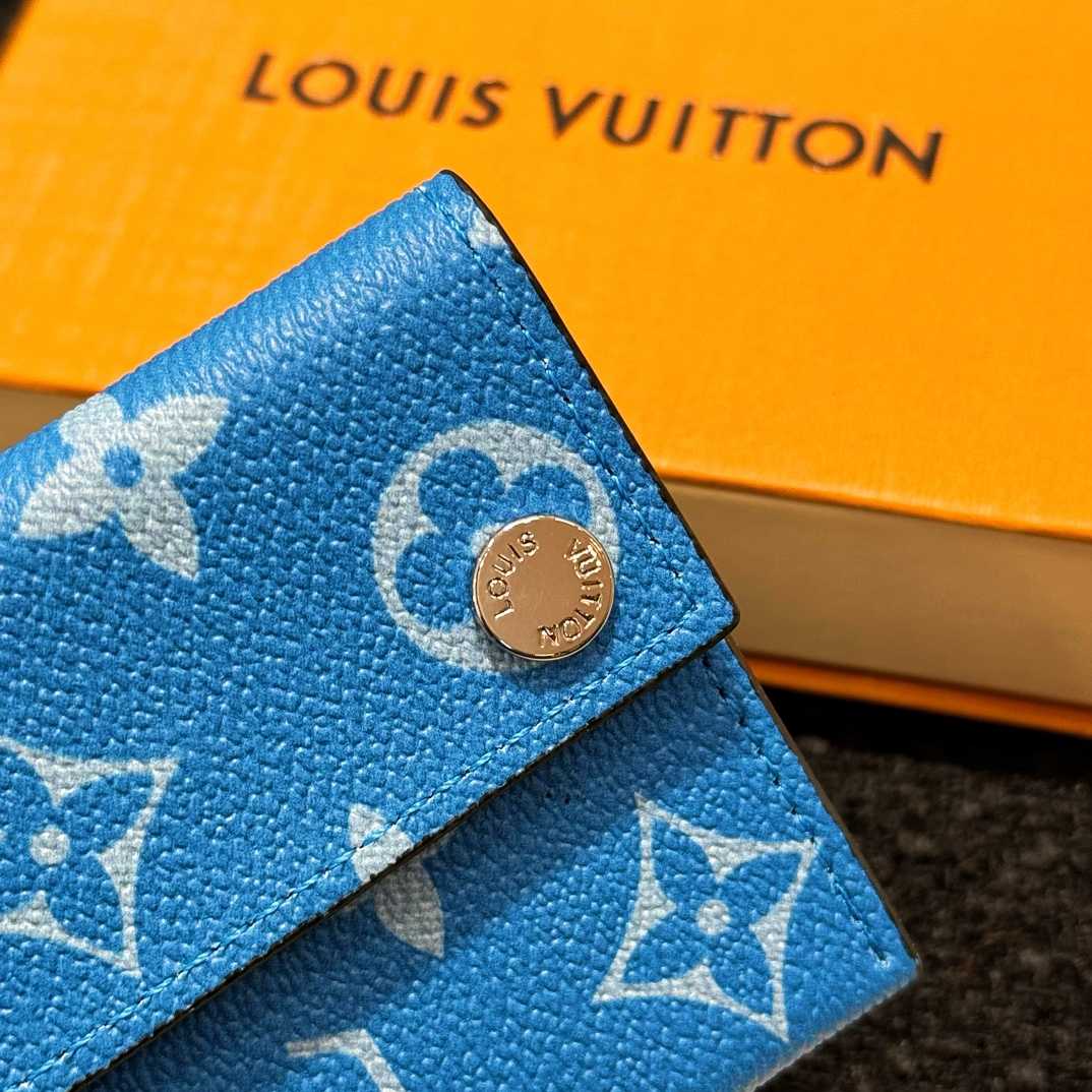 Louis Vuitton Card Holder Necklace  M83154 - FashionPlug