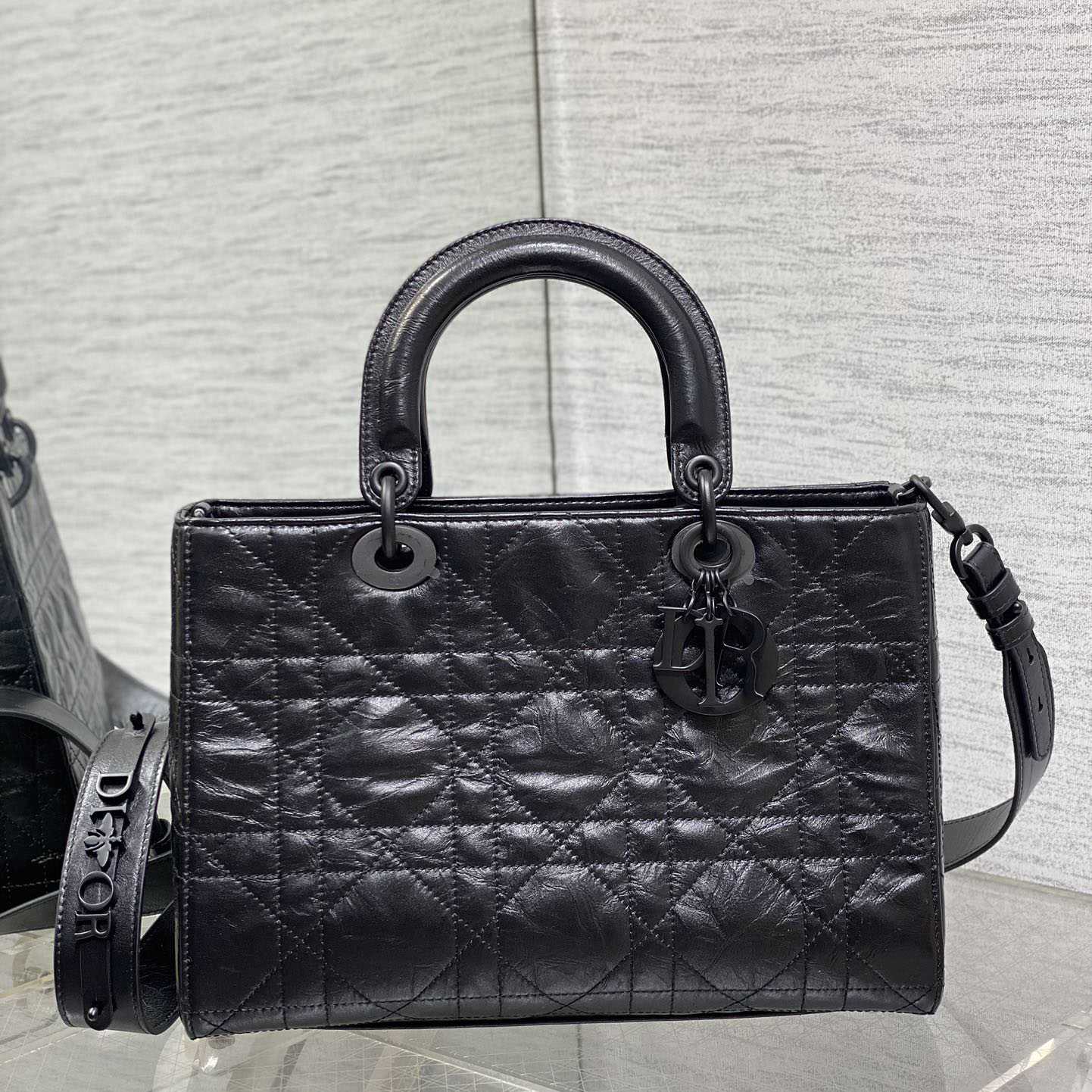Dior Medium Lady D-Sire My ABCDior Bag  - FashionPlug