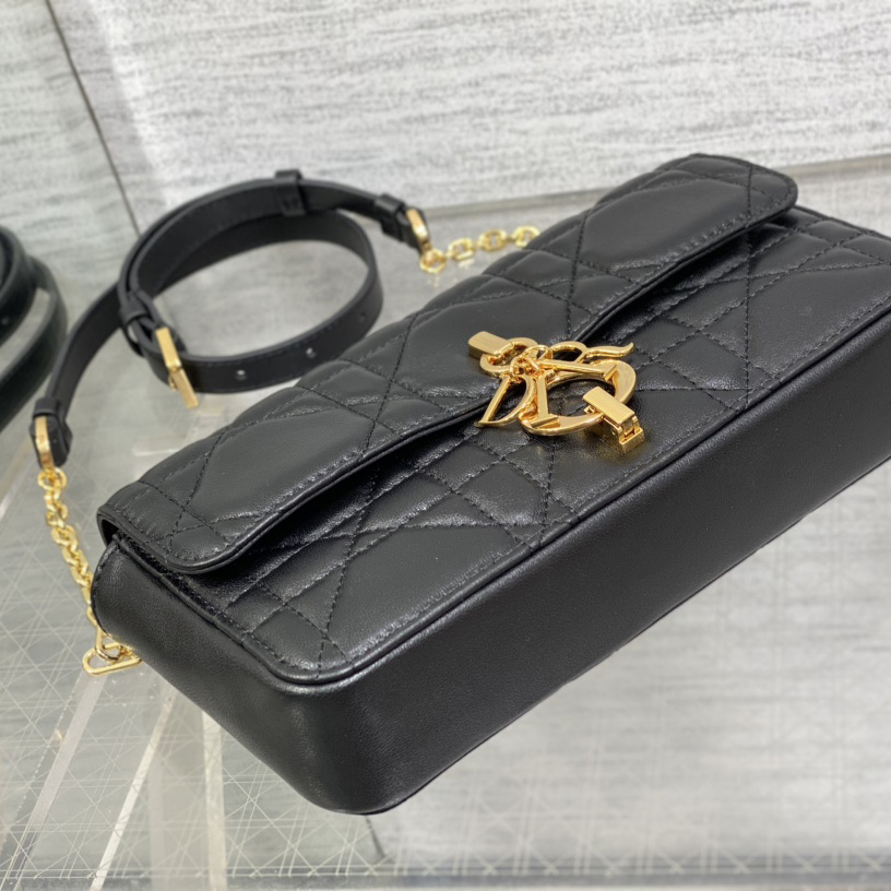 Dior Miss Daisy Mini Bag - FashionPlug