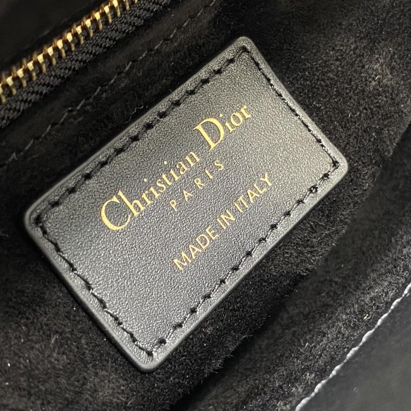 Dior Mini Lady Dior Bag   - FashionPlug