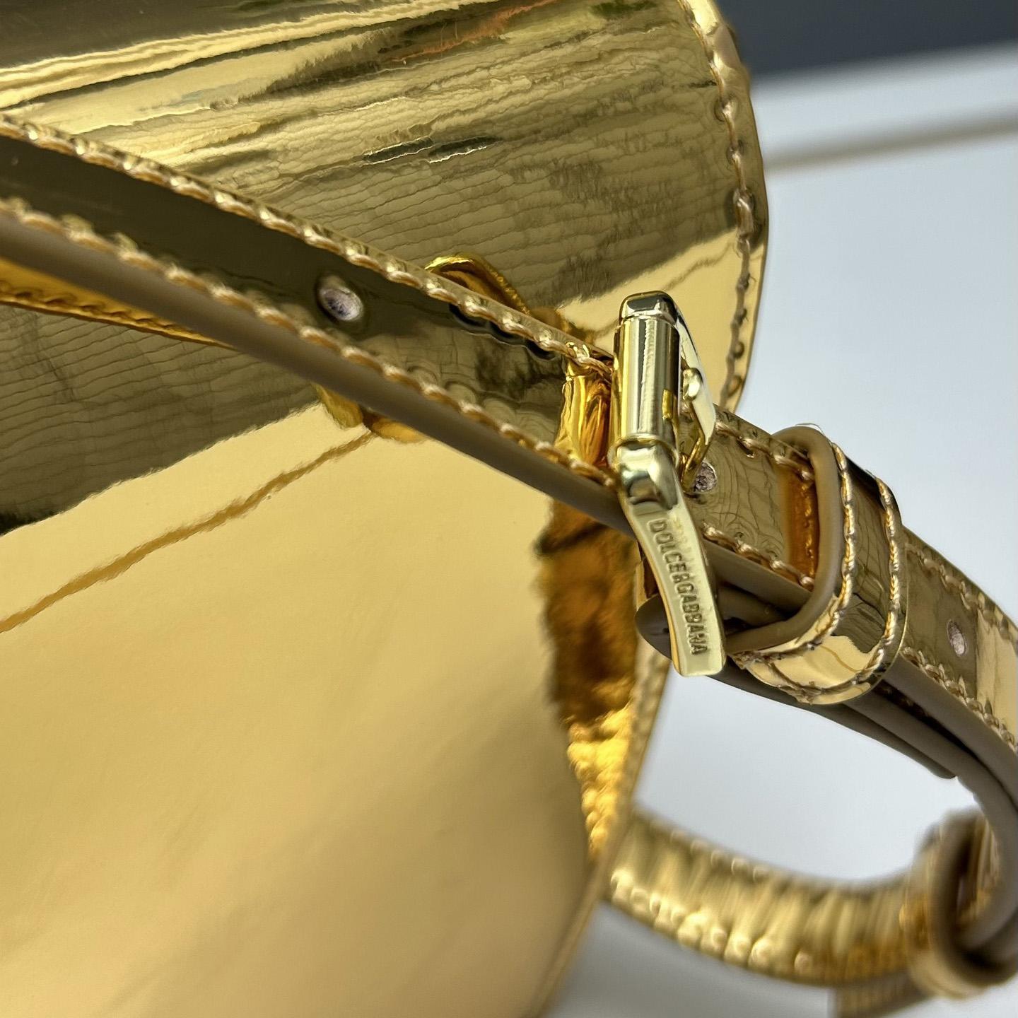 Dolce & Gabbana Metallic Logo Bag  (16*20*5.5cm) - FashionPlug