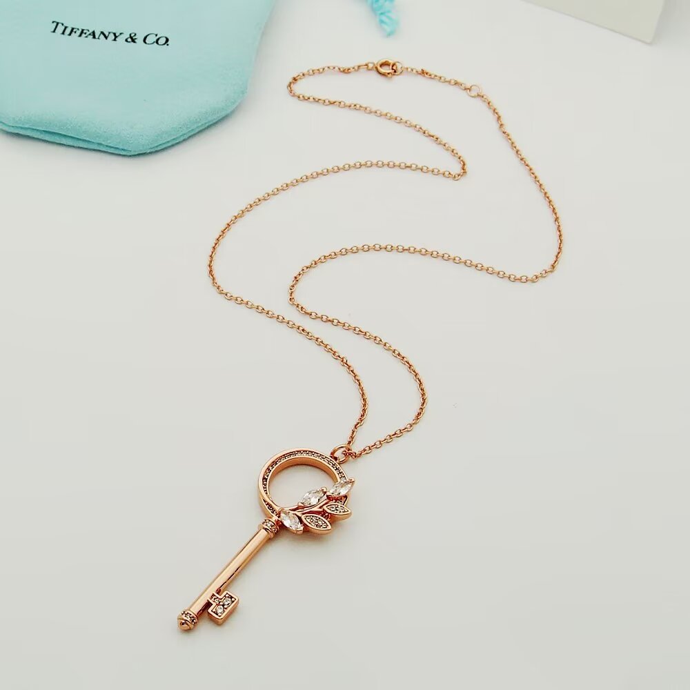 Tiffany & Co.  Diamond Vine Circle Key In Platinum - FashionPlug