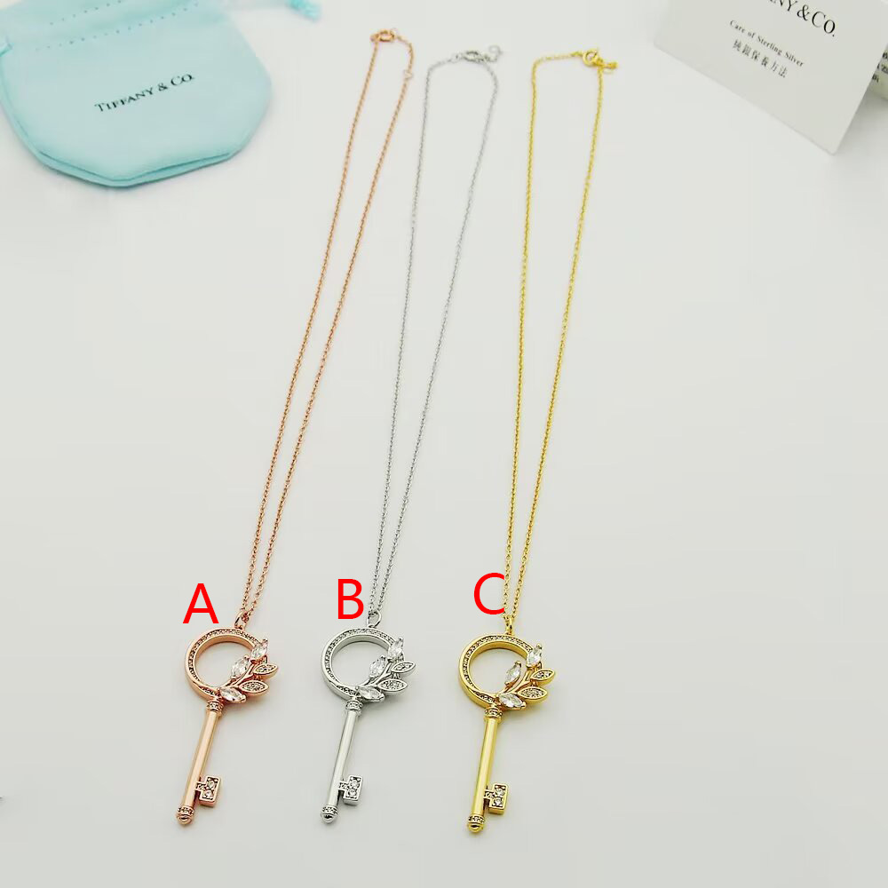 Tiffany & Co.  Diamond Vine Circle Key In Platinum - FashionPlug