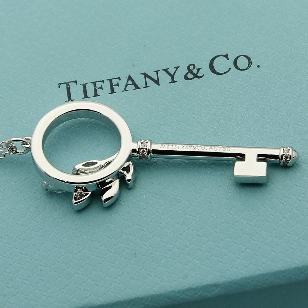 Tiffany & Co.  Diamond Vine Circle Key In Platinum - FashionPlug