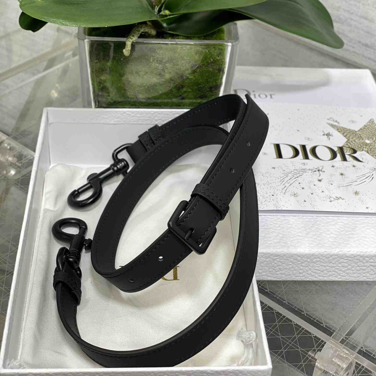 Dior Saddle Bag (24×6×18cm) - FashionPlug