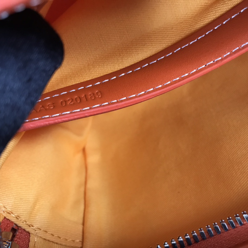 Goyard Cap-Vert PM Bag - FashionPlug