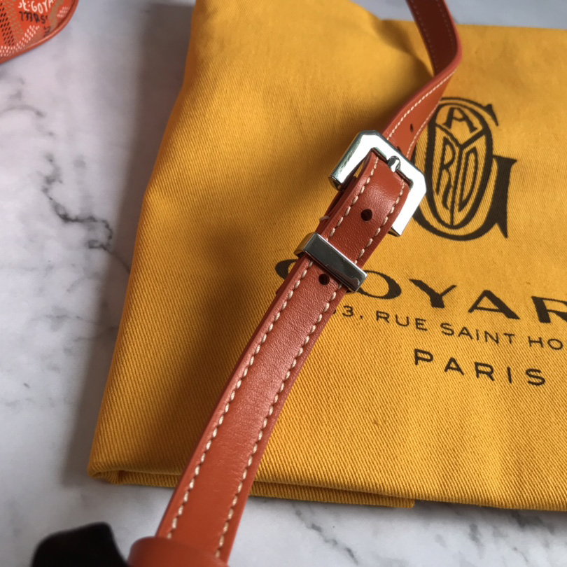 Goyard Cap-Vert PM Bag - FashionPlug