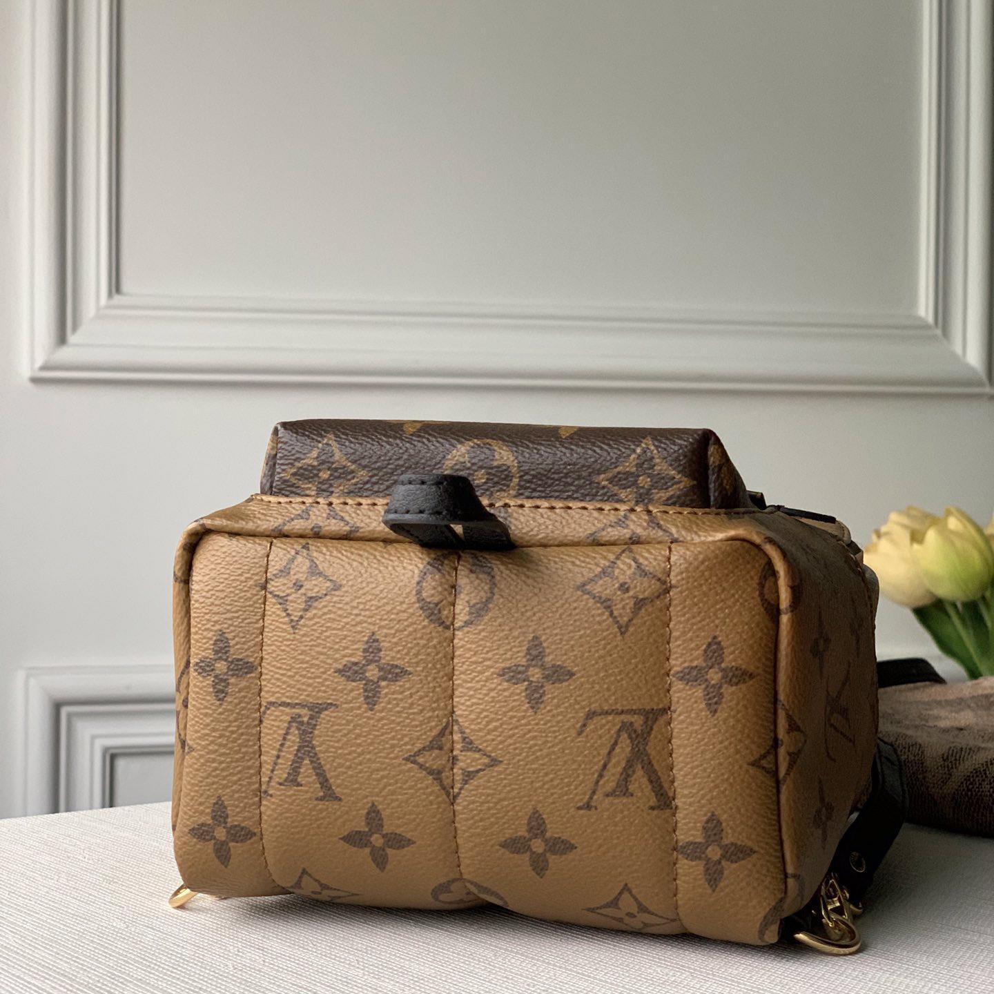 Louis Vuitton  Backpack   (17x22x10cm)  M44872 - FashionPlug