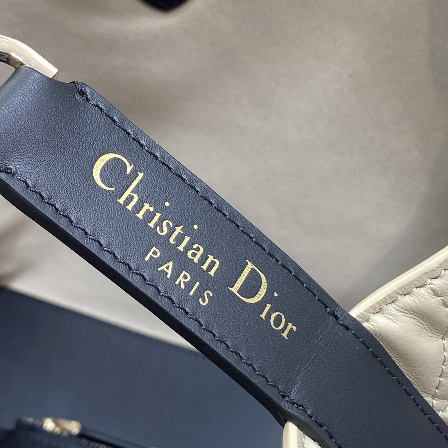 Dior Medium Dior Toujours Bag - FashionPlug
