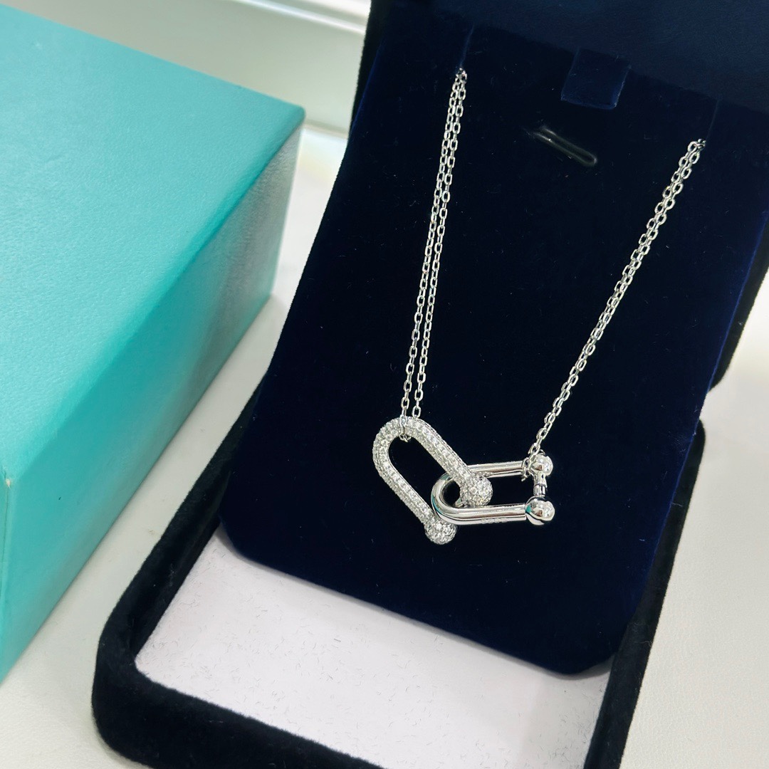 Tiffany & Co. Large Double Link Pendant - FashionPlug