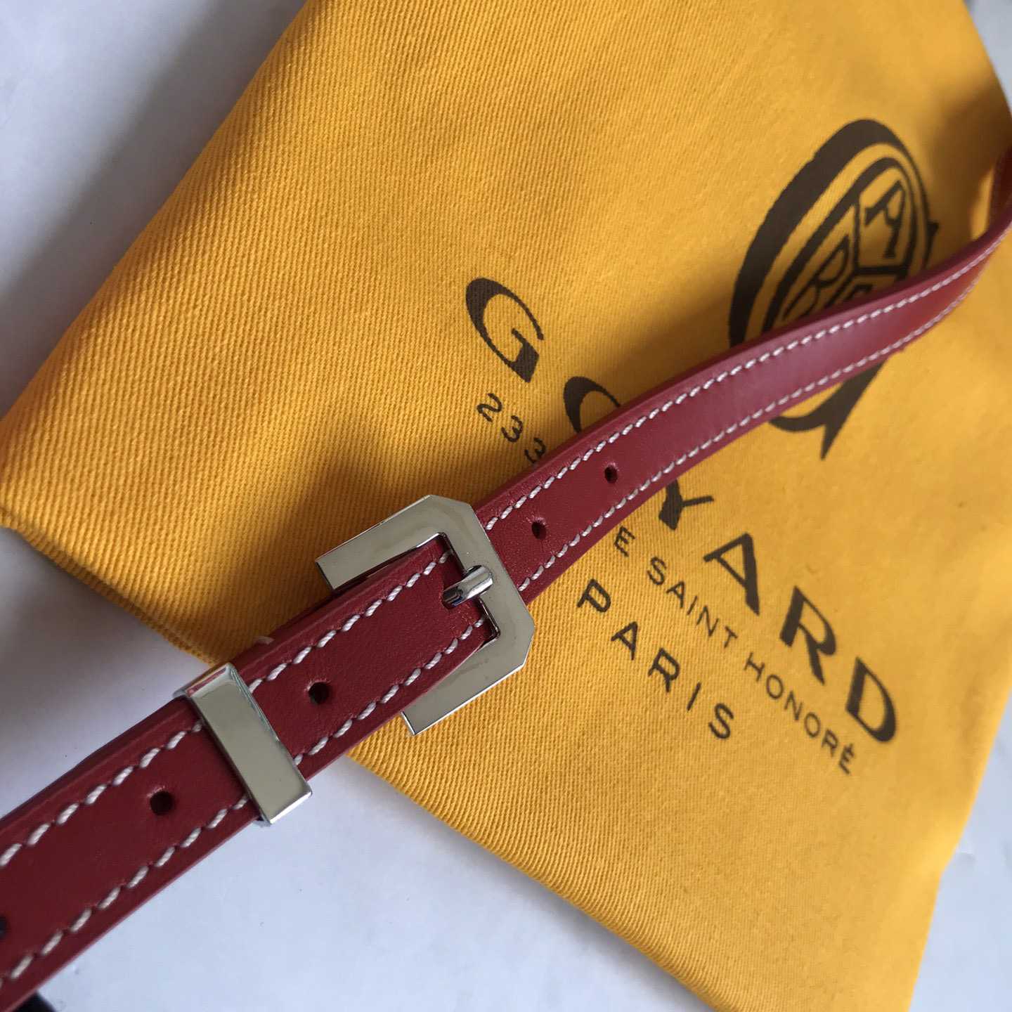 Goyard Cap-Vert PM Bag - FashionPlug
