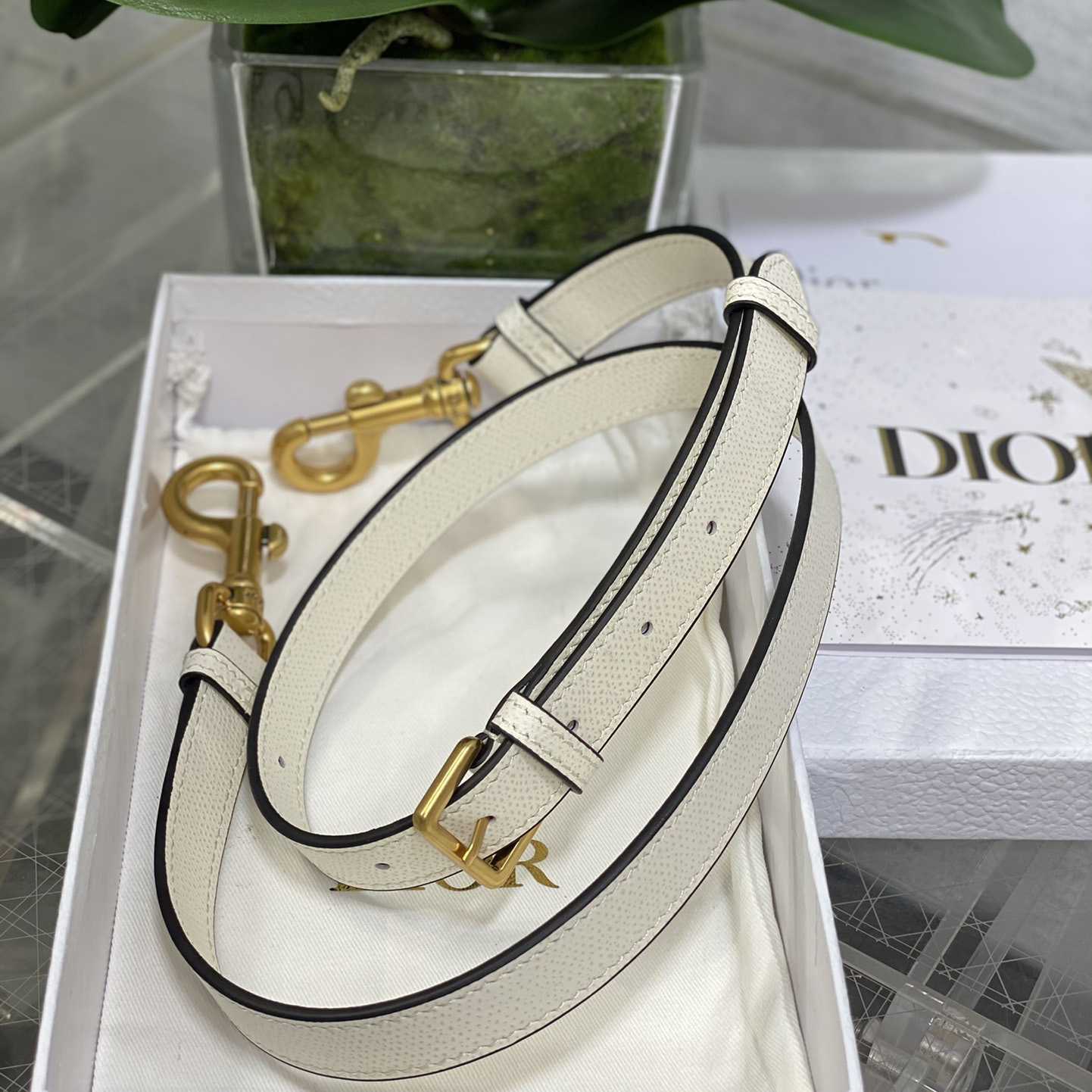 Dior Saddle Bag (24×6×18cm) - FashionPlug