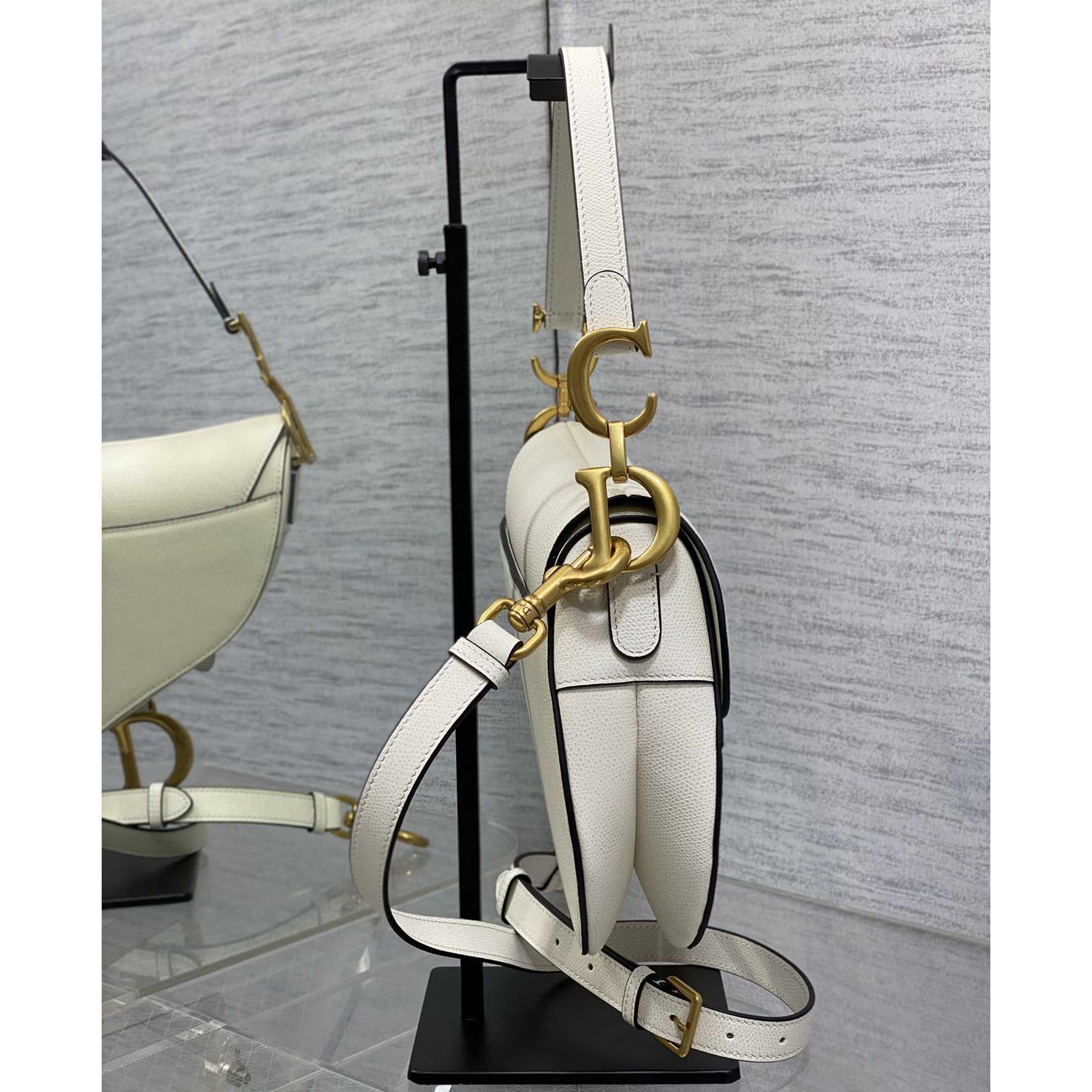 Dior Saddle Bag (24×6×18cm) - FashionPlug