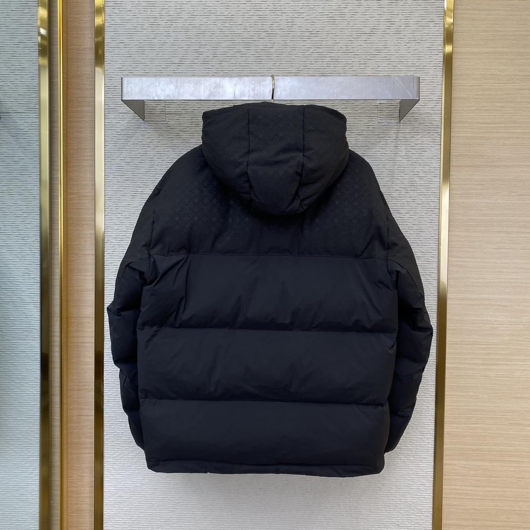 Louis Vuitton Down Blouson   1AFA37 - FashionPlug