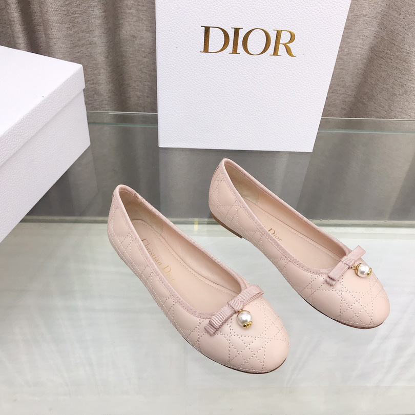 Dior Ballet Flat  - FashionPlug