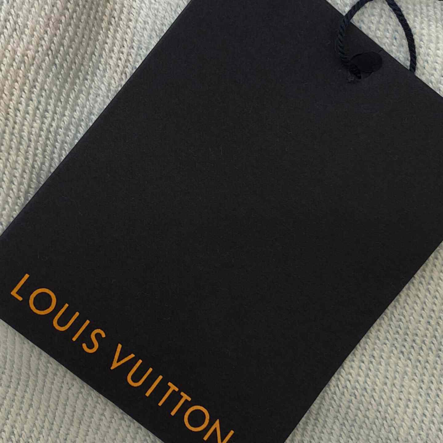 Louis Vuitton Printed Technical Cotton Sweatshirt   1AFR72 - FashionPlug