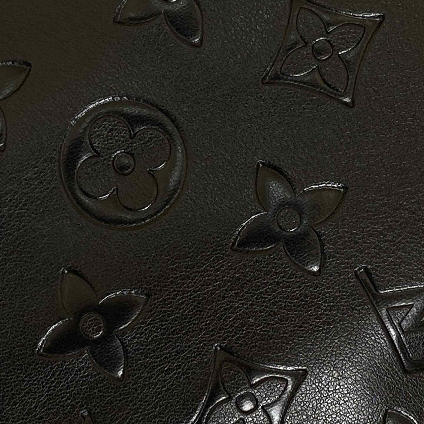 Louis Vuitton Down Blouson - FashionPlug