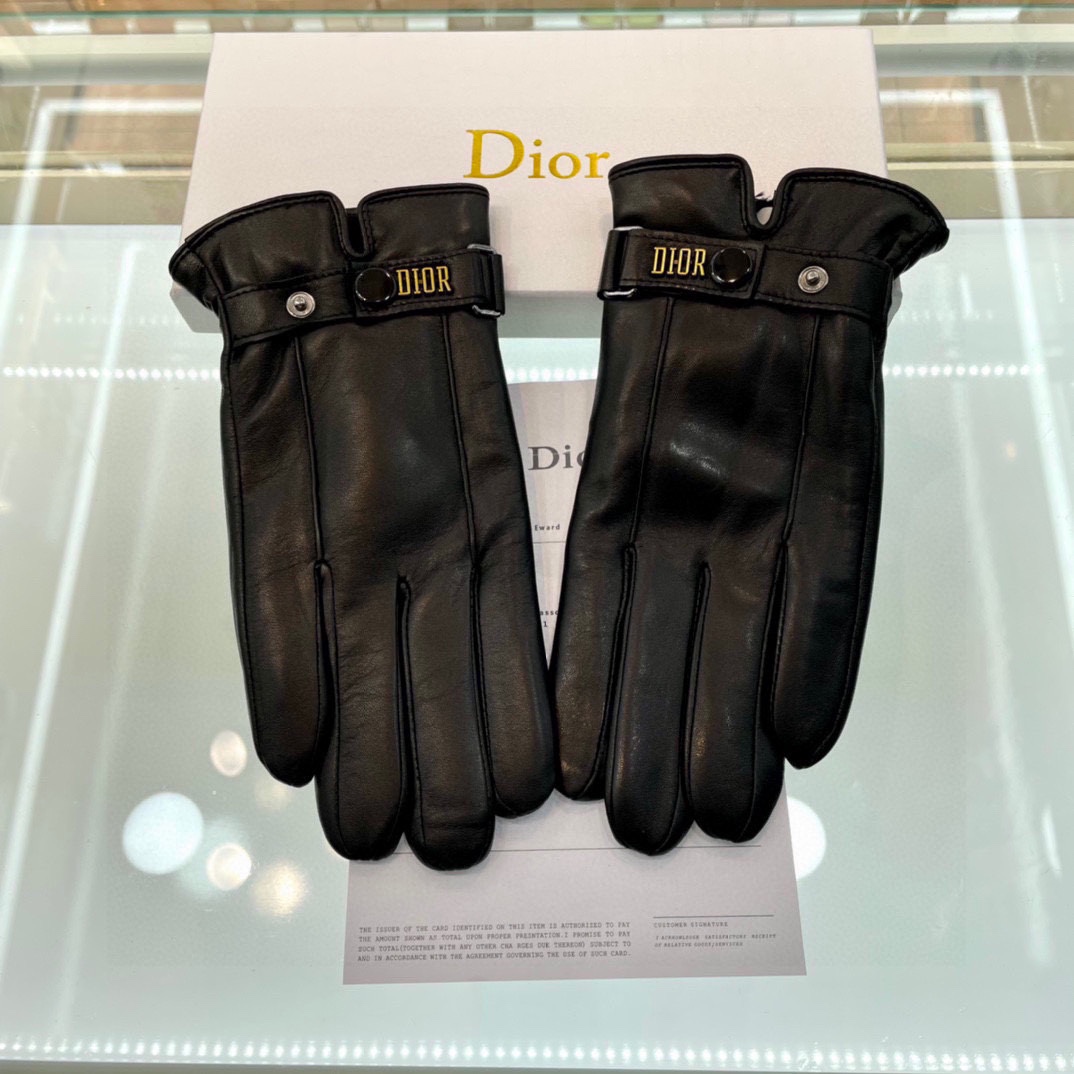 Dior Gloves  - FashionPlug