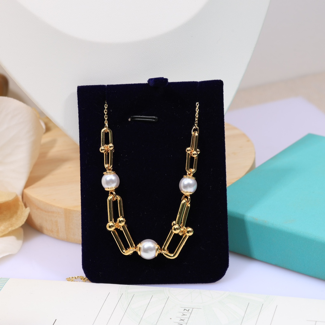 Tiffany & Co. Link Necklace - FashionPlug