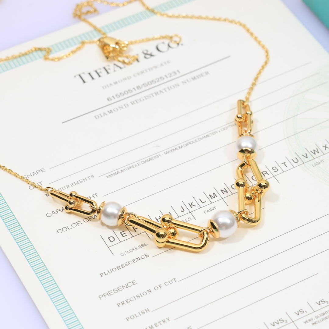 Tiffany & Co. Link Necklace - FashionPlug