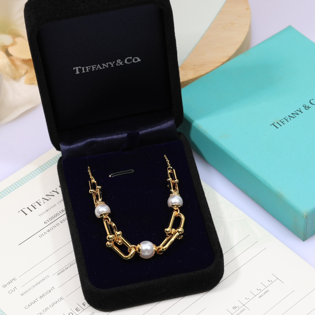 Tiffany & Co. Link Necklace - FashionPlug
