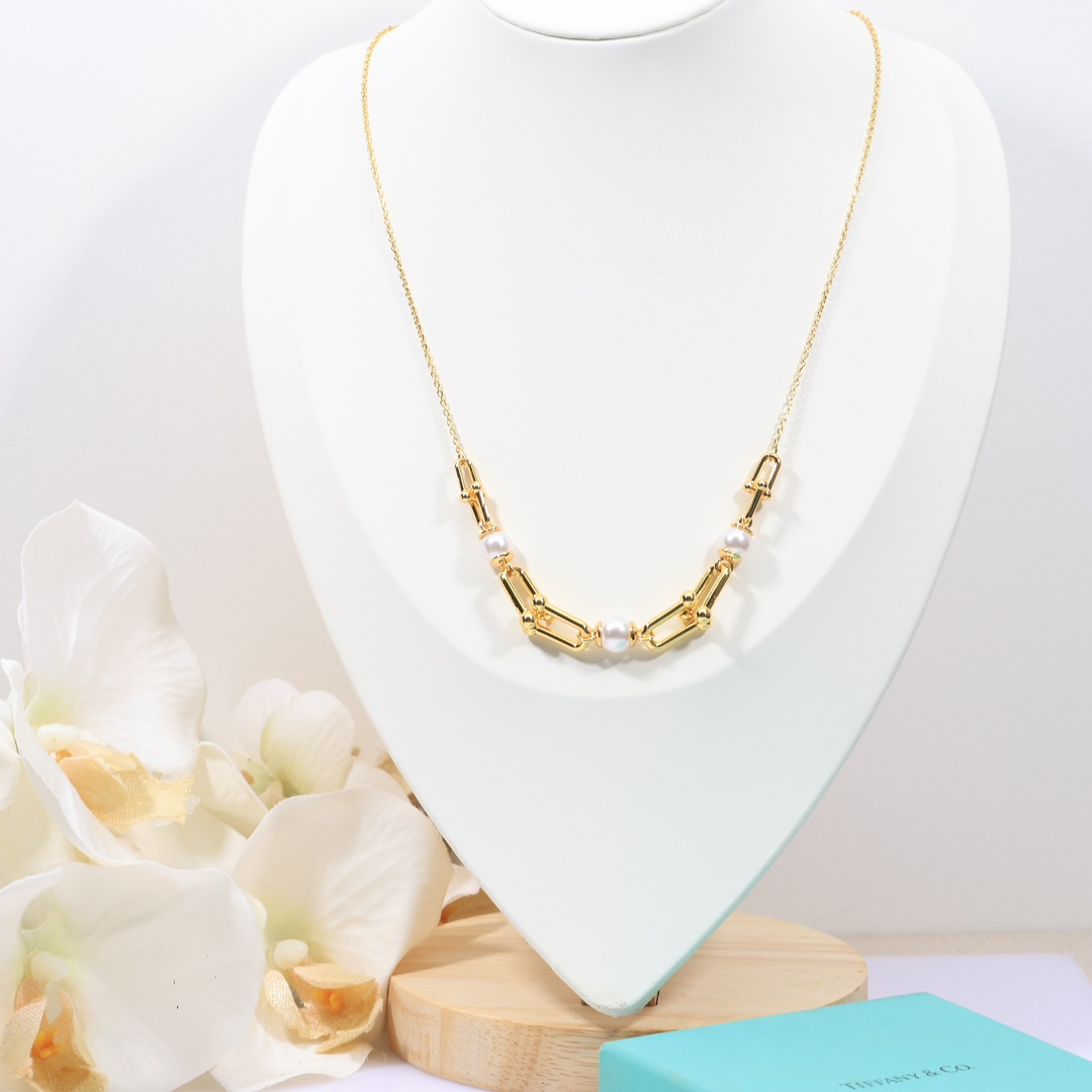 Tiffany & Co. Link Necklace - FashionPlug