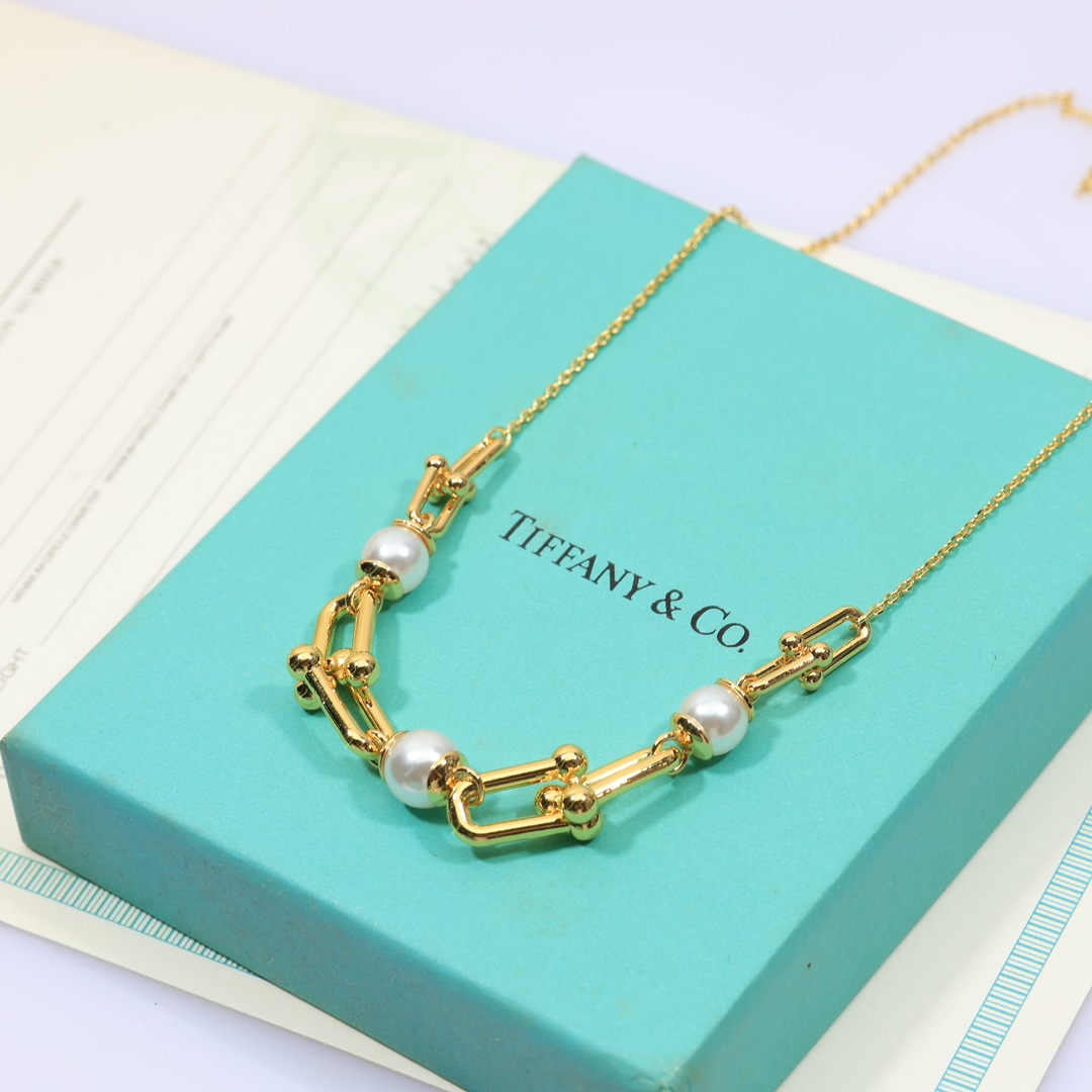 Tiffany & Co. Link Necklace - FashionPlug