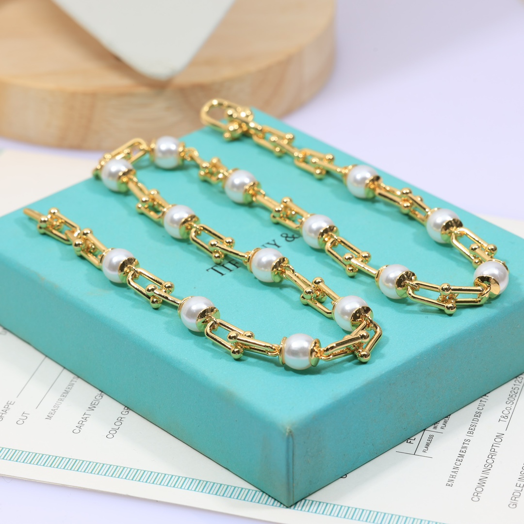 Tiffany & Co. Graduated Link Necklace - FashionPlug