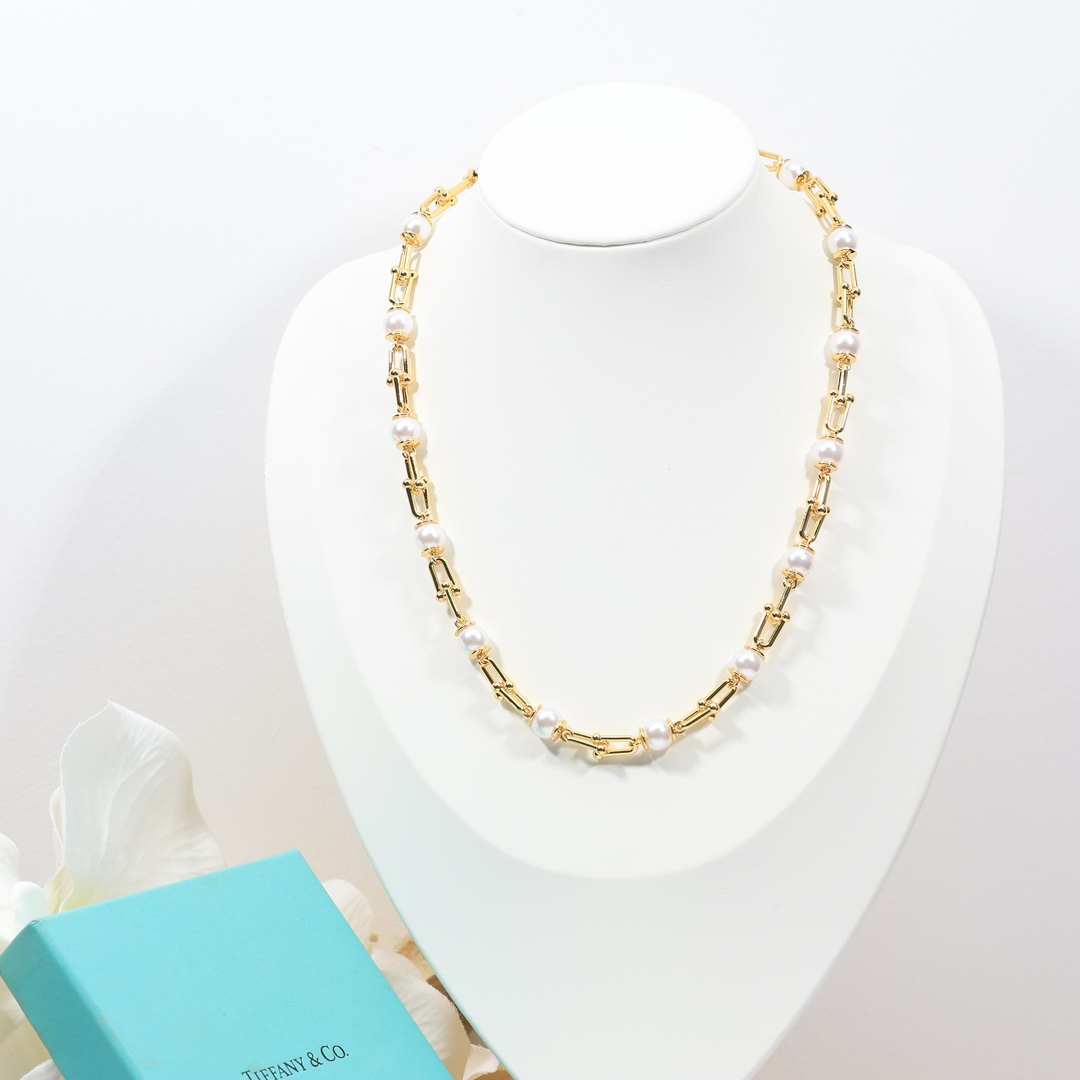 Tiffany & Co. Graduated Link Necklace - FashionPlug
