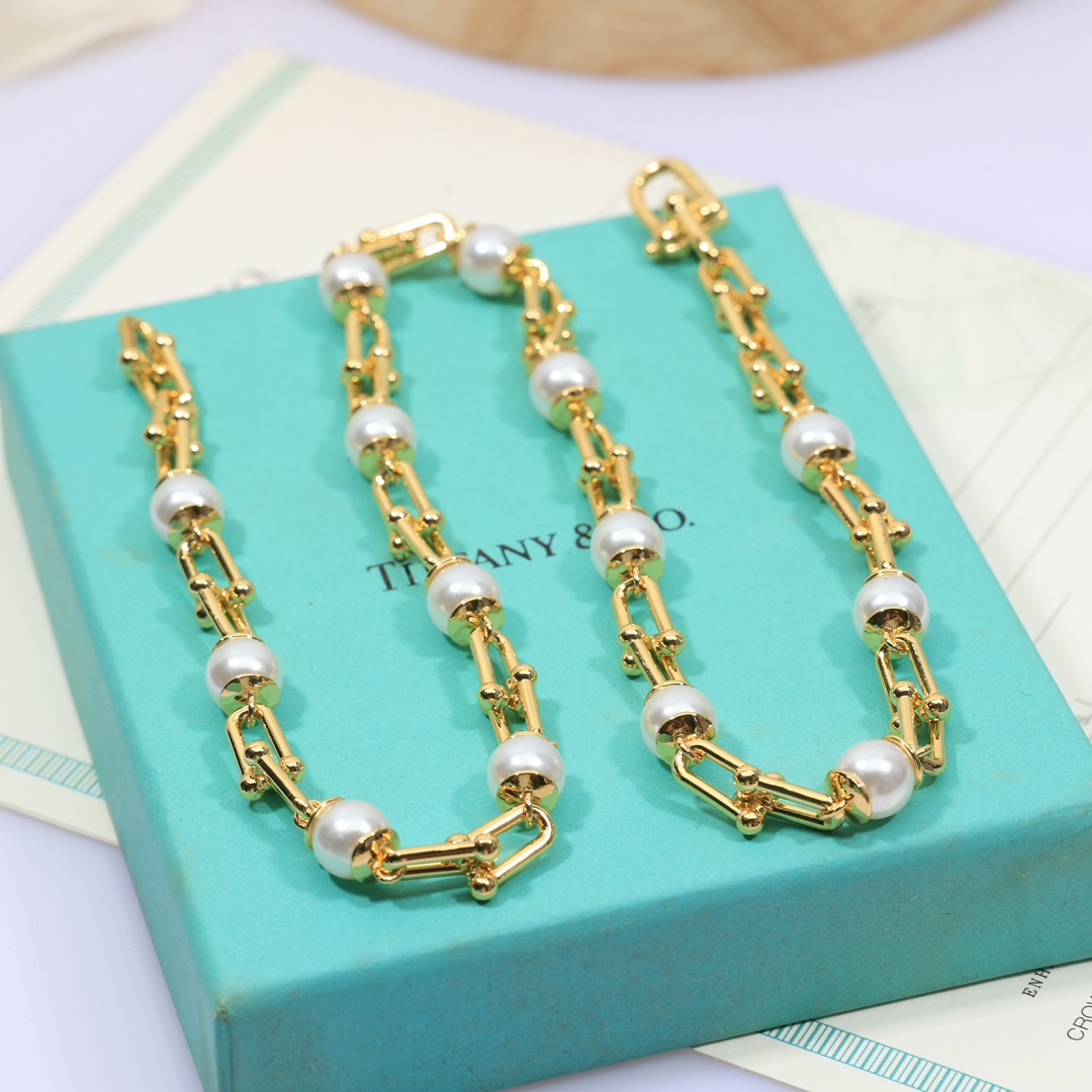 Tiffany & Co. Graduated Link Necklace - FashionPlug