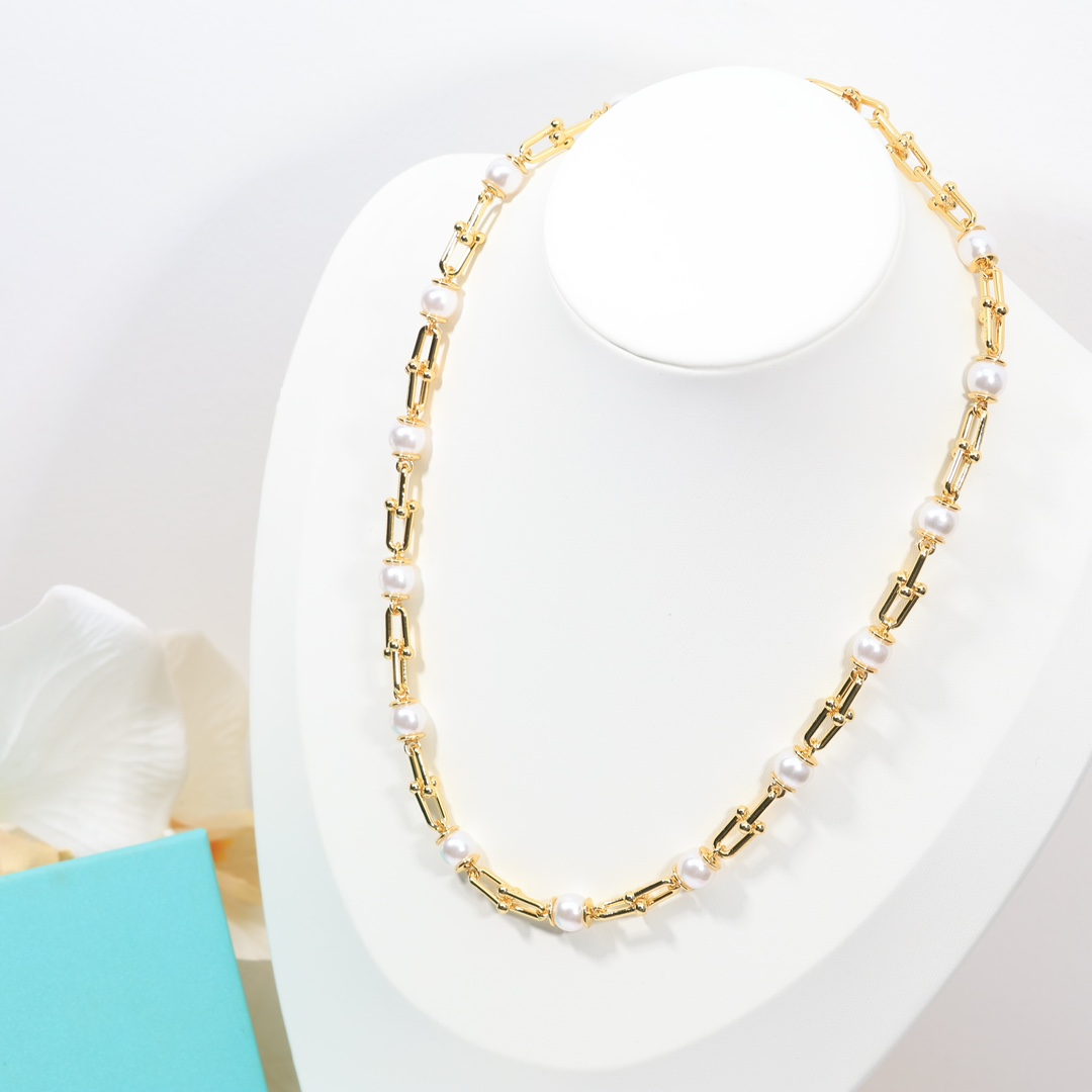 Tiffany & Co. Graduated Link Necklace - FashionPlug